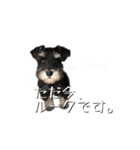 ぴーとぺー（個別スタンプ：16）