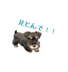 ぴーとぺー（個別スタンプ：18）