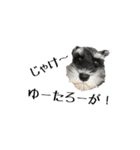 ぴーとぺー（個別スタンプ：22）