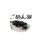 ぴーとぺー（個別スタンプ：26）