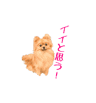 ぴーとぺー（個別スタンプ：28）