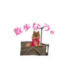 ぴーとぺー（個別スタンプ：29）