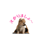 ぴーとぺー（個別スタンプ：35）