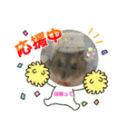 葵くんとまるこちゃんの楽しい毎日（個別スタンプ：16）