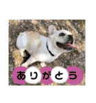 バムちゃん 2（個別スタンプ：14）