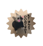 バムちゃん 2（個別スタンプ：22）