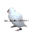 文鳥Wセット（個別スタンプ：6）