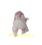 文鳥Wセット（個別スタンプ：18）