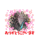 鳥獣戯画的なスタンプ（個別スタンプ：1）