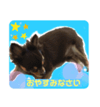 鳥獣戯画的なスタンプ（個別スタンプ：6）