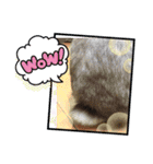 鳥獣戯画的なスタンプ（個別スタンプ：8）