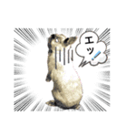 鳥獣戯画的なスタンプ（個別スタンプ：9）