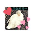 鳥獣戯画的なスタンプ（個別スタンプ：11）