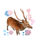 鳥獣戯画的なスタンプ（個別スタンプ：12）