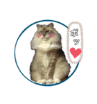 鳥獣戯画的なスタンプ（個別スタンプ：15）