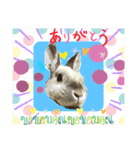 鳥獣戯画的なスタンプ（個別スタンプ：16）