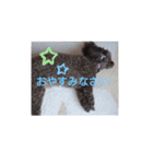 こはく君の癒し（個別スタンプ：5）