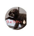 こはく君の癒し（個別スタンプ：8）