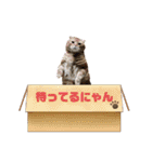 あとら＆よんスタンプ（個別スタンプ：12）