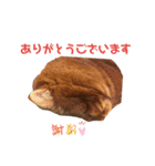 あとら＆よんスタンプ（個別スタンプ：24）