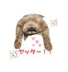 あとら＆よんスタンプ（個別スタンプ：38）