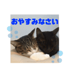 かわいいいきものたちよ（個別スタンプ：9）