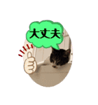 かわいいいきものたちよ（個別スタンプ：21）