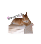 もあくんとモカちゃん（個別スタンプ：21）