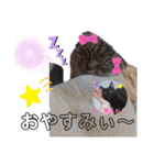 にゃんこリトルブラザーズ（個別スタンプ：8）