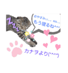 にゃんこリトルブラザーズ（個別スタンプ：16）
