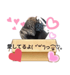 にゃんこリトルブラザーズ（個別スタンプ：23）