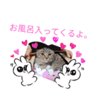 にゃんこリトルブラザーズ（個別スタンプ：24）
