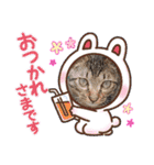 にゃんこリトルブラザーズ（個別スタンプ：26）
