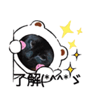 にゃんこリトルブラザーズ（個別スタンプ：33）