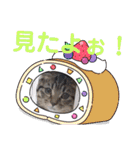 にゃんこリトルブラザーズ（個別スタンプ：34）