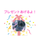 にゃんこリトルブラザーズ（個別スタンプ：36）