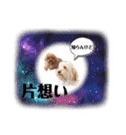 まるぺぺフレンズ（個別スタンプ：20）