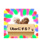 まるぺぺフレンズ（個別スタンプ：24）