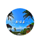 I♡沖縄’okinawa no kaze,（個別スタンプ：1）