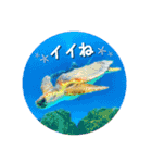 I♡沖縄’okinawa no kaze,（個別スタンプ：19）