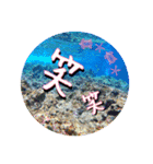 I♡沖縄’okinawa no kaze,（個別スタンプ：22）