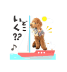 【会話②ver】トイプードルのプルミエたち（個別スタンプ：8）
