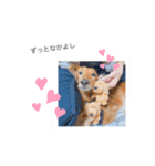 reon♡スタンプ（個別スタンプ：3）