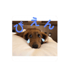 reon♡スタンプ（個別スタンプ：8）