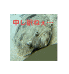 なめだんごちゃんのスタンプ（個別スタンプ：3）