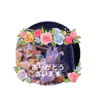 なめだんごちゃんのスタンプ（個別スタンプ：7）