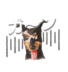 どーべるまん？？（個別スタンプ：27）