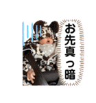 かいいちスタンプPart①（個別スタンプ：36）