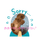 poodle＆husky日常会話（個別スタンプ：11）