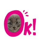 すずたま（個別スタンプ：7）